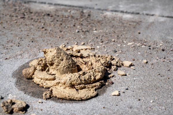 Cost of Driveway Slab Leveling in Venice
