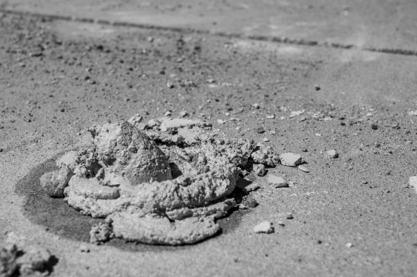 Cost of Concrete Slabjacking in Venice